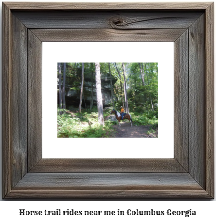 horse trail rides near me in Columbus, Georgia